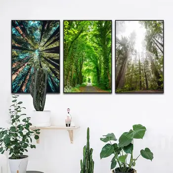 Естественное свежее солнечное сияние картина на холсте плакат с зеленым деревом лесной пейзаж настенные рисунки для гостиной фон домашнего декора